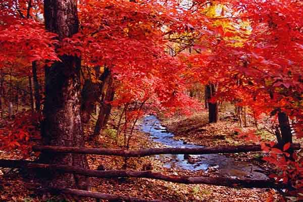 Top 10 địa điểm du lịch đẹp nhất Trung Quốc vào mùa thu (Kì 2)