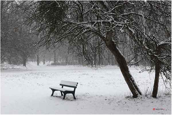 Một ngày mùa đông – Lê Uyên – Phương