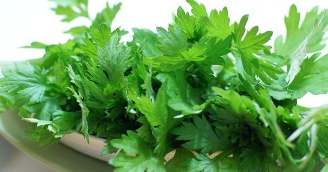 Bệnh gai cột sống và bài thuốc dân gian hữu hiệu