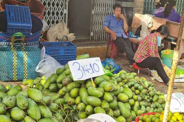 Nỗi buồn của nhà vườn Đồng bằng sông Cửu Long