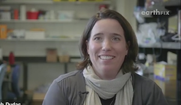 Nhựa trong hải sản