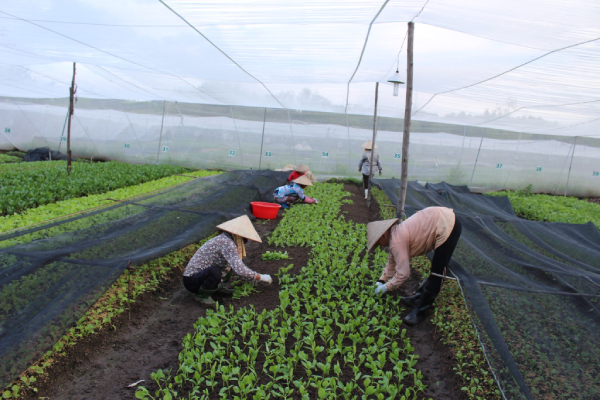 Gặp gỡ nông dân, thêm yêu thực phẩm