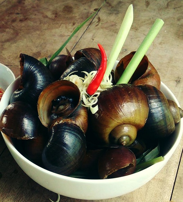 Cà ri ốc bươu – món ngon đồng nội