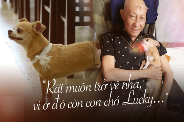 Nghẹn ngào hình ảnh chú cún nhỏ buộc khăn tang trắng, quanh quẩn không rời bên linh cữu cố nghệ sĩ Lê Bình