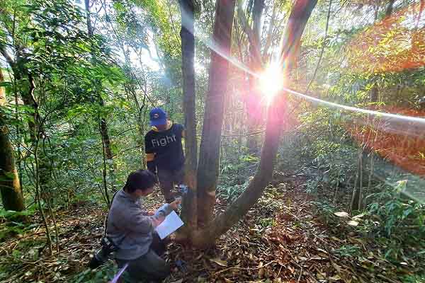 Khám phá Rừng Mây ở khu bảo tồn lớn nhất Đông Dương