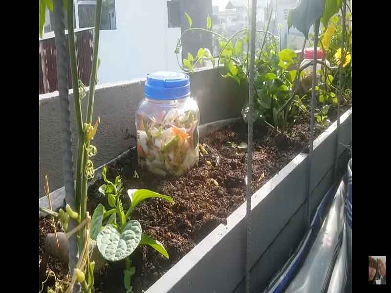 Học ủ phân rác bếp sáng tạo từ các vlogger làm vườn