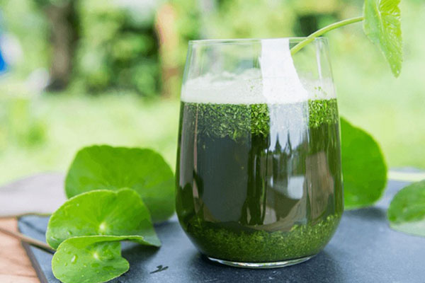 Nước rau má giải nhiệt nhưng vẫn cần tránh những trường hợp sau để bảo đảm an toàn