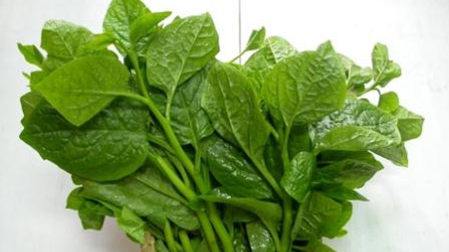 Rau mồng tơi giúp cải thiện sinh lý ở nam giới