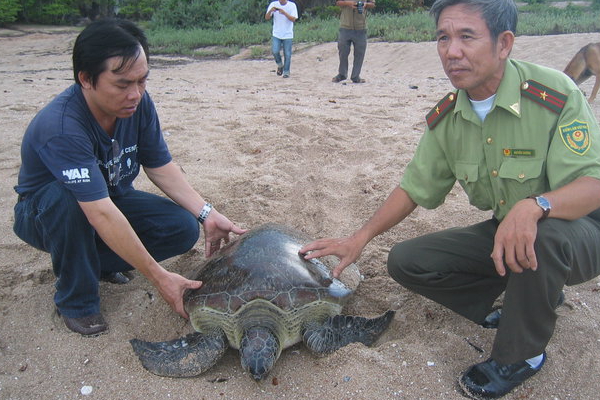 Đến Vườn quốc gia Núi Chúa cùng tham gia bảo tồn Rùa Biển