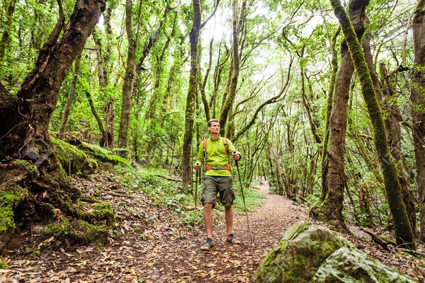 7 kỹ năng sinh tồn khi bị lạc trong rừng giúp bạn sống sót