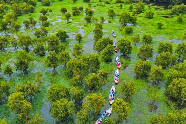 Vẻ đẹp rừng sinh thái Việt Nam thu hút khách du lịch