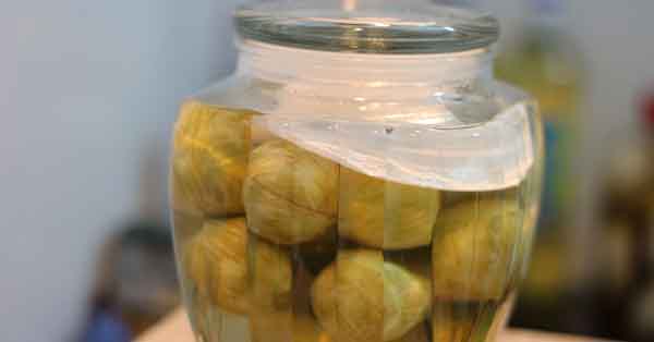 Chữa bệnh bằng quả sấu ngâm rượu