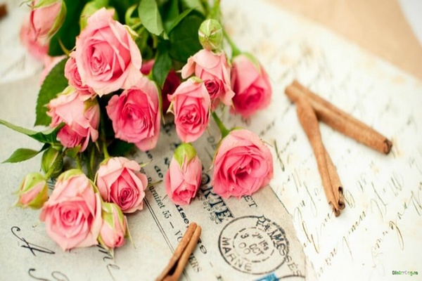 Những món quà truyền thống tri ân thầy cô ngày 20/11