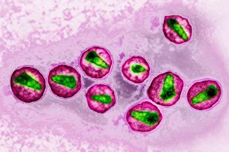 Hi vọng trong cách điều trị khỏi HIV/AIDS