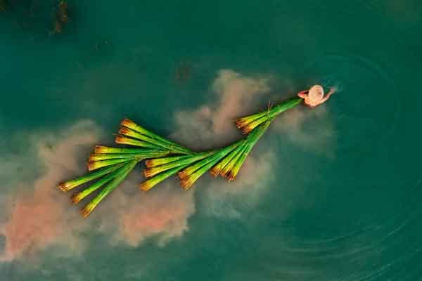 Nét khởi sắc vượt bậc và vị thế của nhiếp ảnh Việt Nam trên thế giới