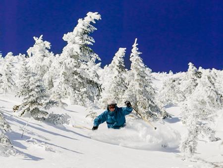 Bang Vermont (Mỹ) thưởng hơn 200 triệu cho bất kỳ ai chuyển đến đây sống