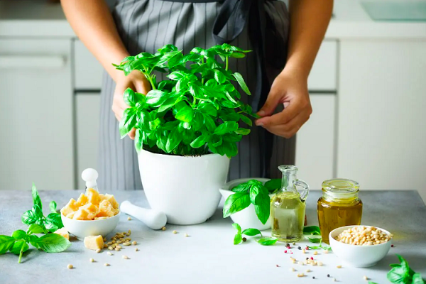 Cách diệt muỗi đơn giản với các loại tinh dầu tự nhiên