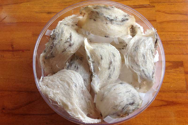 Giá mua tổ yến mắc hơn sau khi được xuất sang Trung Quốc?