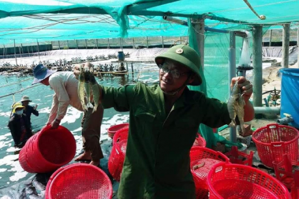 Bạc Liêu đặt mục tiêu thu về 1 tỷ USD từ xuất khẩu thuỷ sản