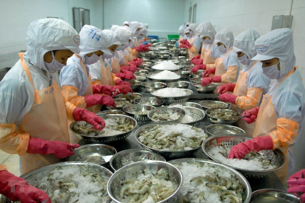 Xuất khẩu thủy sản Việt Nam hướng tới một tầm cao mới