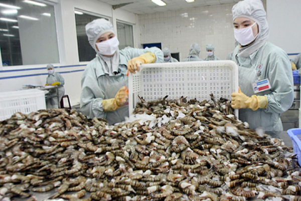 Xuất khẩu thuỷ sản thêm một năm thắng lợi