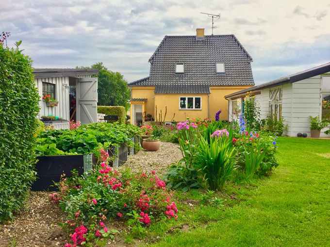 Trang trại trồng rau, nuôi gà đẹp như tranh