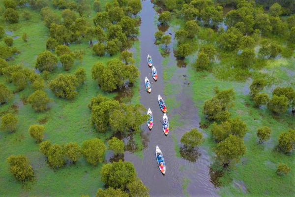 Nghe tiếng chim hót giữa rừng Trà Sư