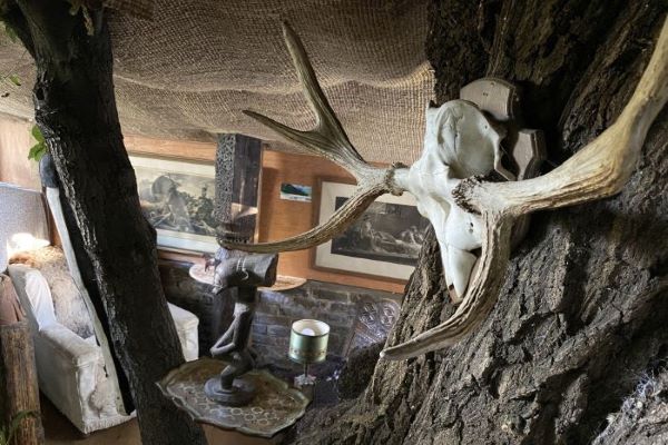 Ấn tượng với ngôi nhà ba tầng trên cây