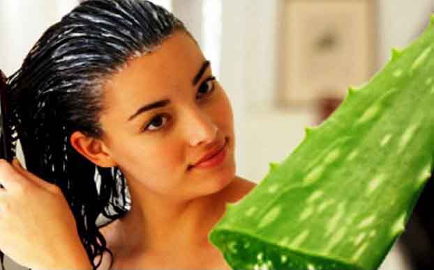 Đánh bay gàu với các công thức siêu đơn giản