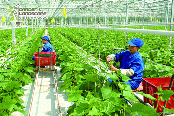 Những điều thú vị để kéo bạn đến với Việt Nam Expo 2020