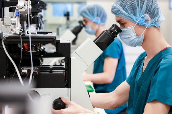 Ứng dụng trí tuệ nhân tạo vào thụ tinh ống nghiệm