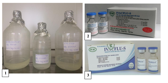 Đã sản xuất thành công vắc-xin ngừa cúm mùa ở Việt Nam