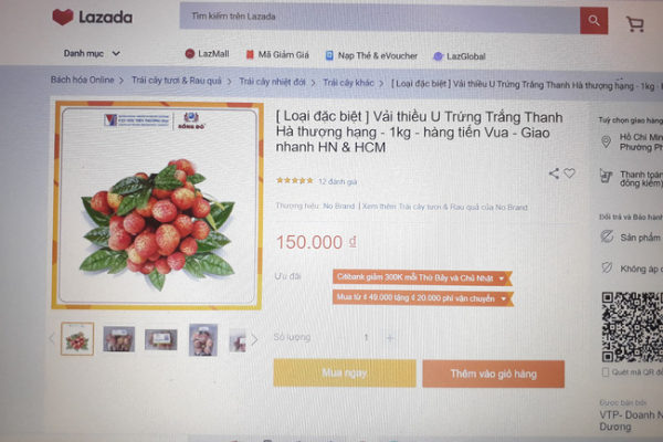 Sàn thương mại điện tử một kênh tiêu thụ nông sản đầy tiềm năng