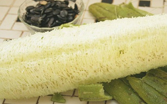 Tác dụng chữa bệnh “thần kỳ” của xơ mướp