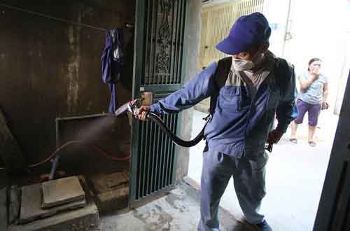 Sốt xuất huyết: Coi chừng tử vong