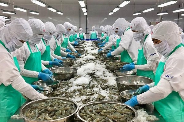 Thủy sản ‘chật vật’ với mục tiêu xuất khẩu 10 tỉ USD