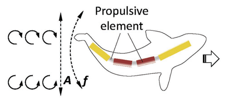 A close up of a mapDescription automatically generated