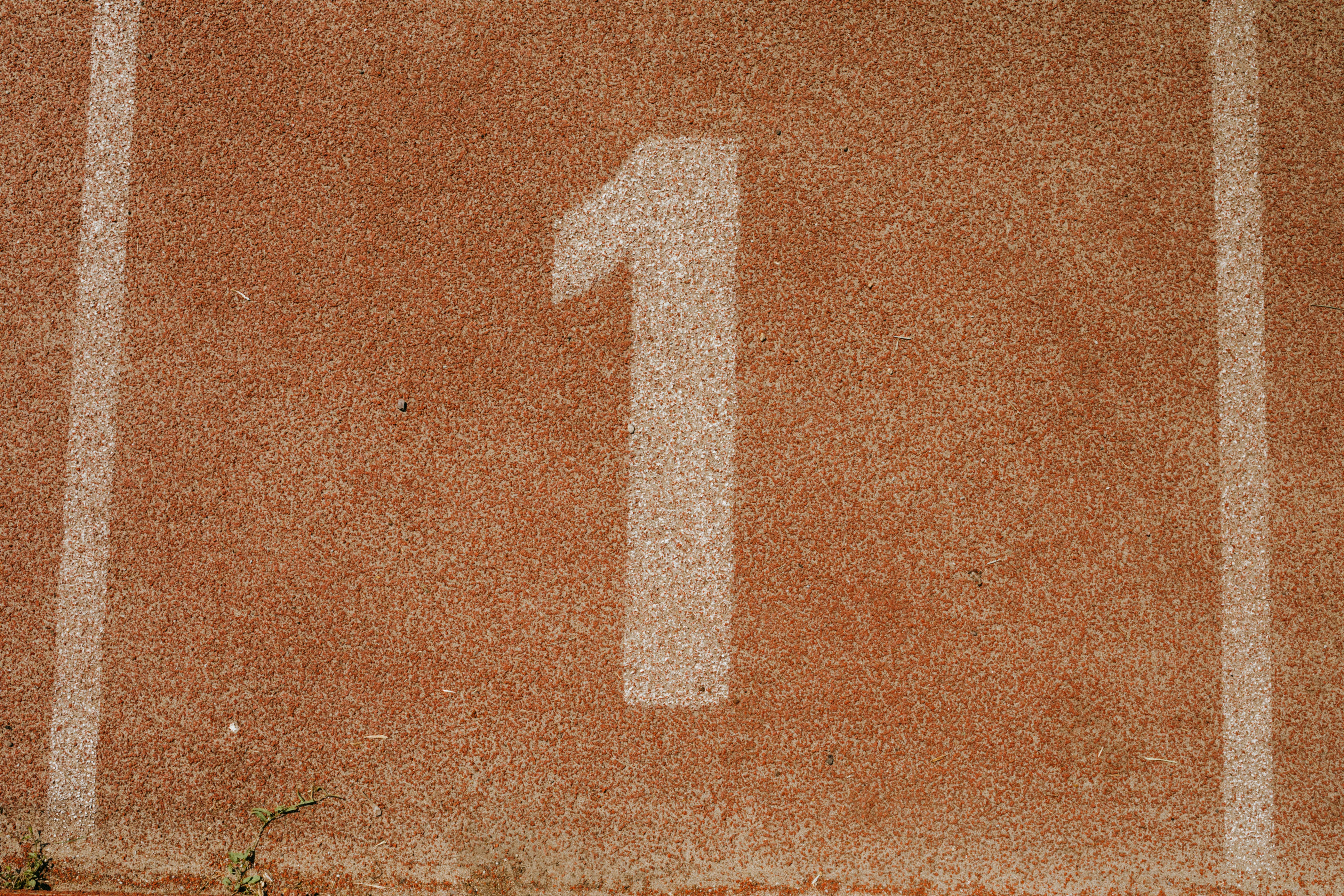 Khởi đầu ‘năm thế giới số 1’: Làm gì để thu hút may mắn?