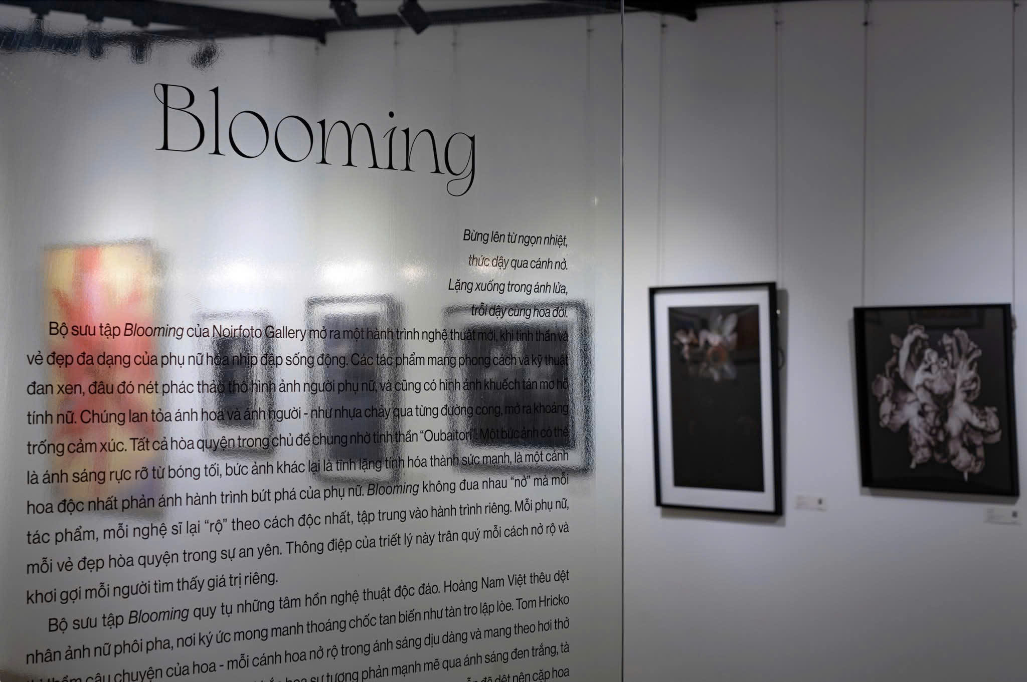 ‘Blooming’ – Triển lãm của Noirfoto Gallery tôn vinh vẻ đẹp hồi sinh và sức mạnh nội tại